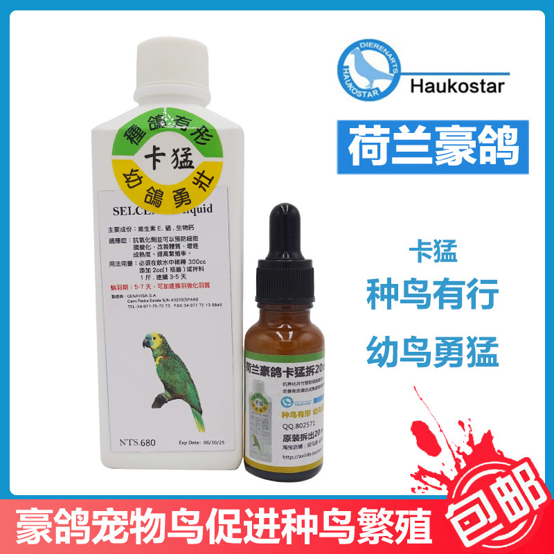 荷兰豪鸽卡猛液鹦鹉繁殖宝提高受精率幼鸟成活率促进成长提升熟度