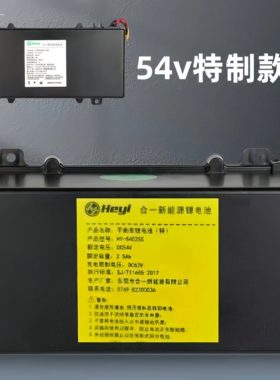 原装锂电池电动扭扭车电瓶