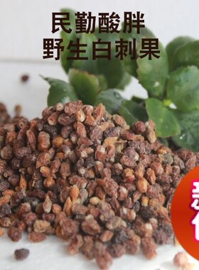 甘肃民勤特产 野生白刺果 酸胖 2025沙漠养生茶泡酒 沙漠樱桃500g