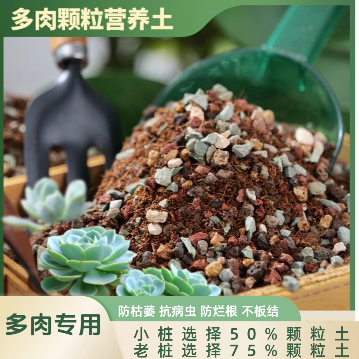 高端多肉植物专用颗粒土营养土法师九尾狐多肉土