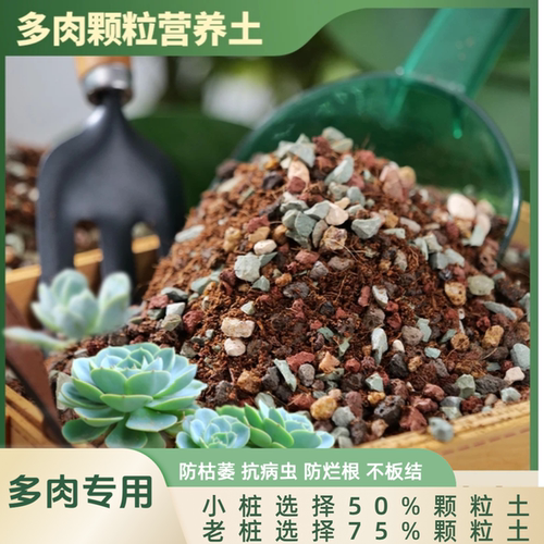 高端多肉植物专用颗粒土营养土法师九尾狐多肉土