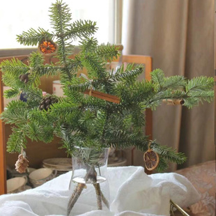 新鲜国产诺贝松鲜切枝圣诞树圣诞花环装饰材料水培绿植圣诞节松枝