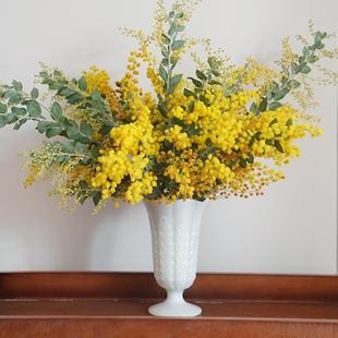圣诞花金合欢鲜切花水养客厅餐桌玄关黄色小众花材昆明基地直发
