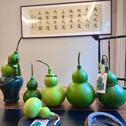翡翠绿葫芦天然现摘真果客厅摆件