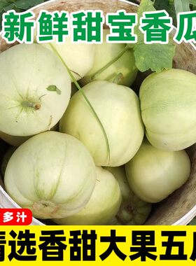 现摘现发甜宝甜瓜白皮小香瓜新鲜水果脆瓜梨瓜白糖罐蜜瓜青瓜5斤