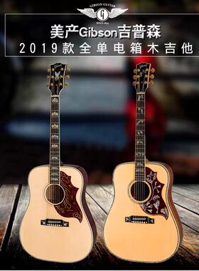 大徐吉他firebird火鸟鸽子