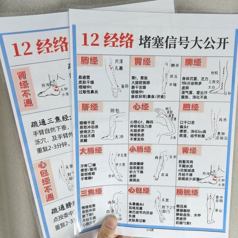 12经络堵塞信号大全把脉不求人中医28脉改善疏通A4塑封挂图认知