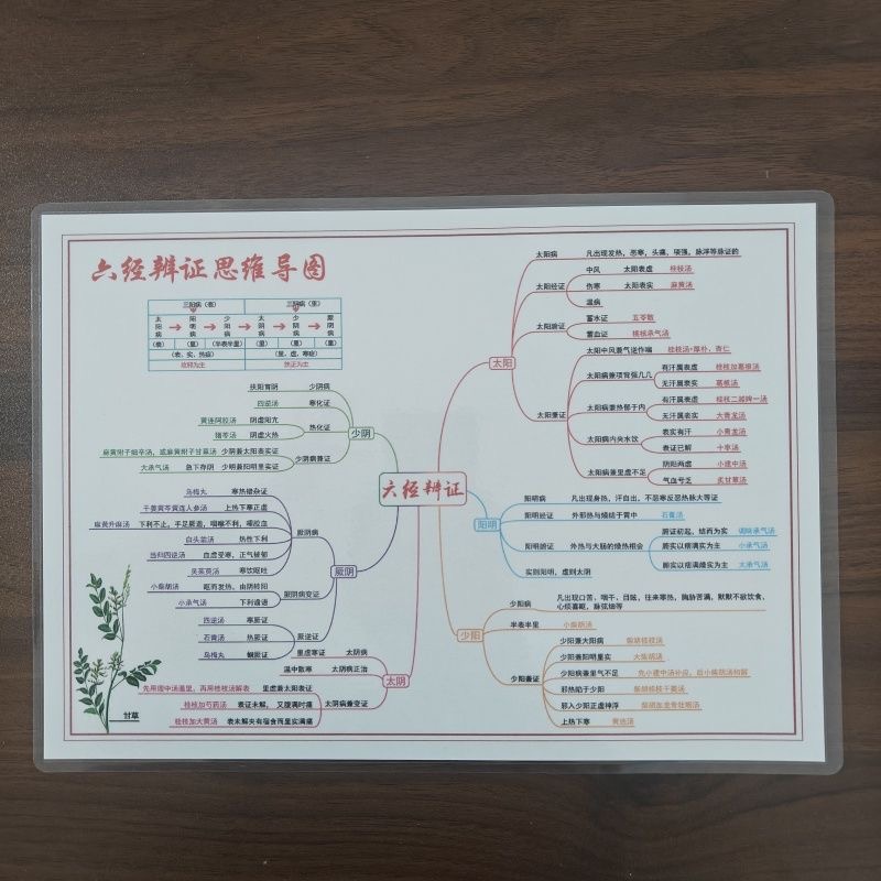 中医八纲辨证六经辨证思维导图五输穴文字版塑封防水挂图认知卡