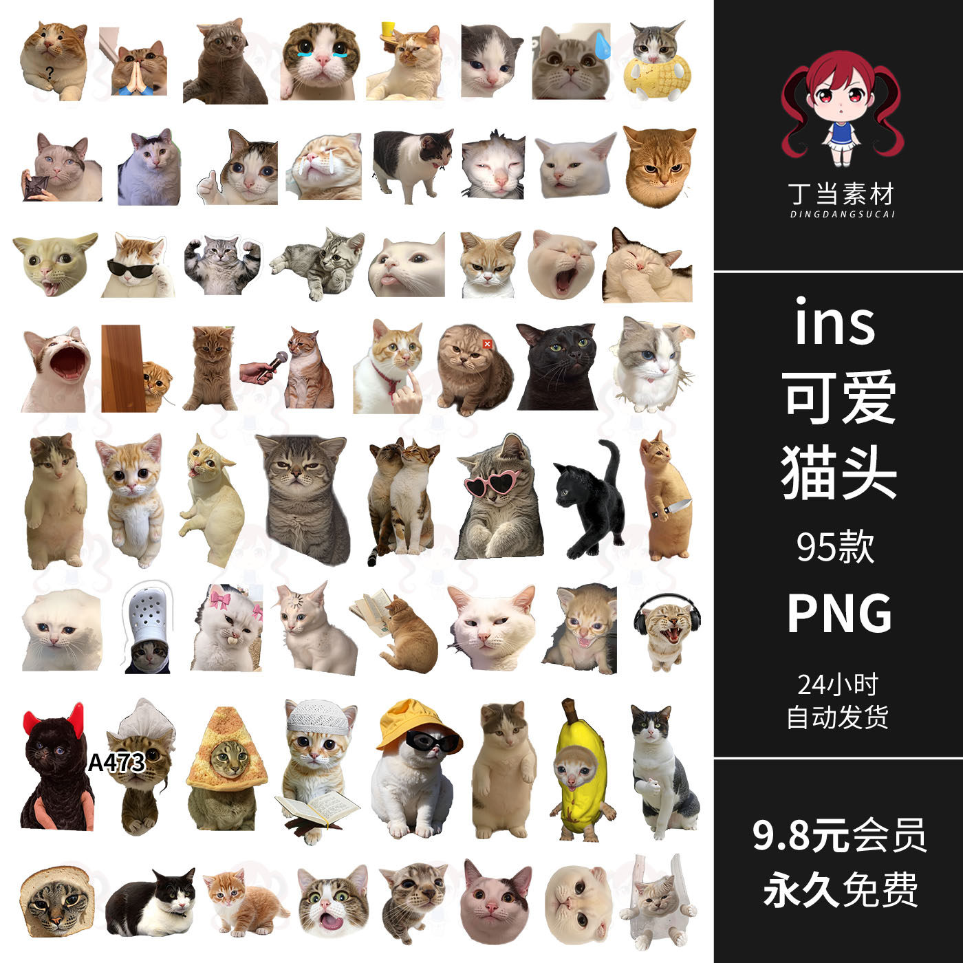 韩系ins可爱猫头像猫咪表情打哈欠手帐拼贴纸PNG免扣图片美工素材