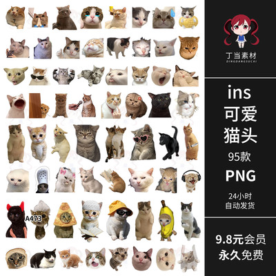 韩系ins可爱猫头像猫咪表情打哈欠手帐拼贴纸PNG免扣图片美工素材
