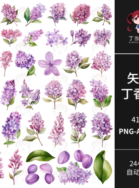 浪漫夏天紫色丁香花插画海报AI矢量PNG免抠图可商用饭圈美工素材