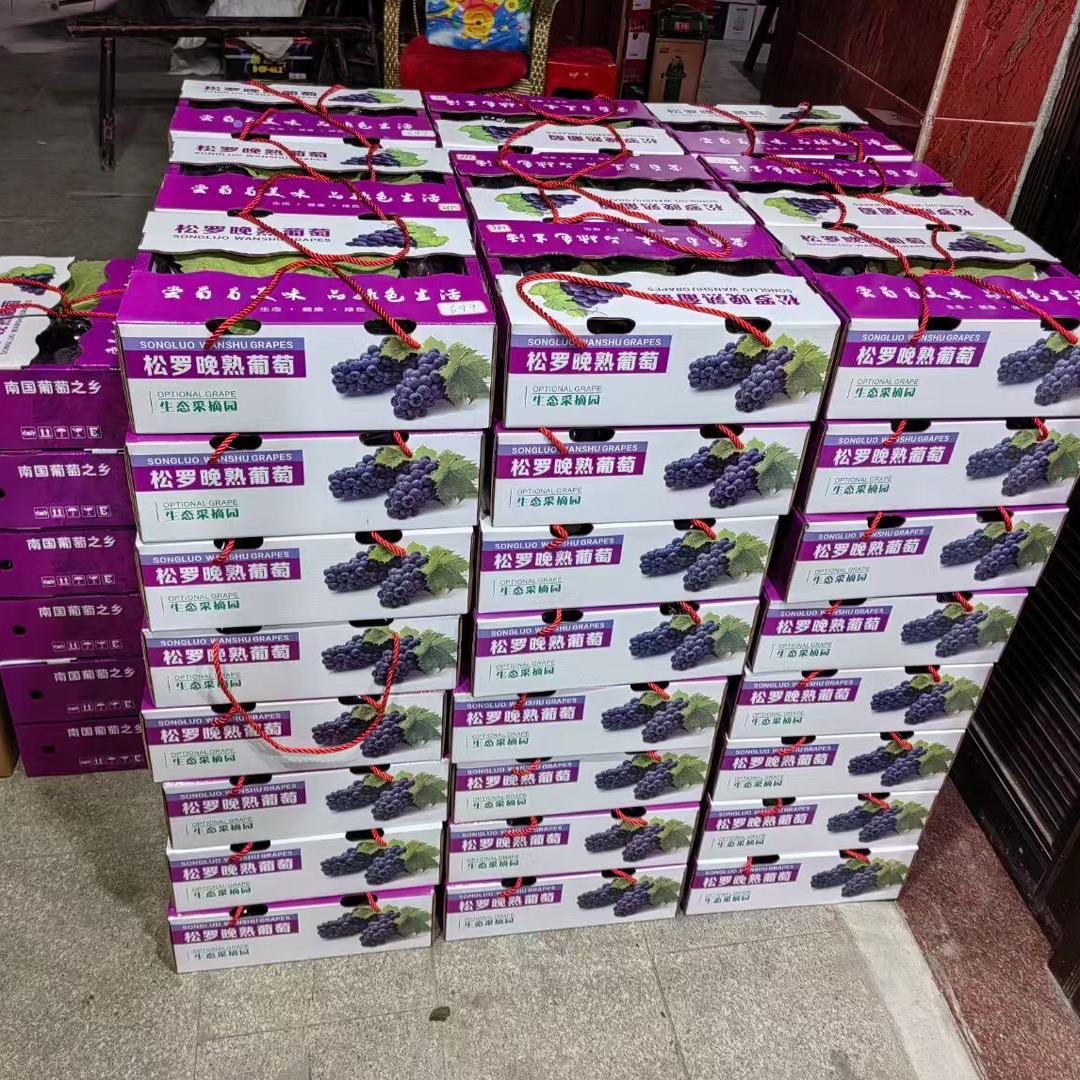 松罗晚熟巨峰葡萄礼盒装整箱福建包邮福安葡萄松罗产地发新鲜水果