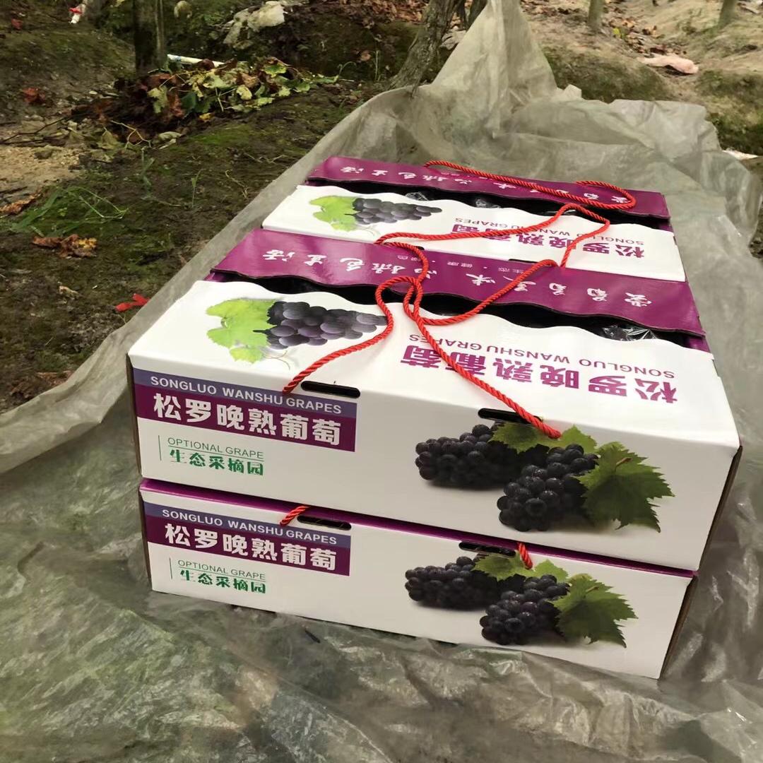 松罗巨峰葡萄晚熟葡萄新鲜水果当季现摘整箱9斤装紫葡萄孕妇爱吃