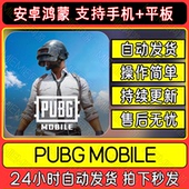 PUBG手游刺激战场港国际服中文安卓鸿蒙手机下载吃鸡教程平板游戏