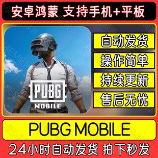 PUBG手游刺激战场港国际服中文安卓鸿蒙手机下载吃鸡教程平板游戏