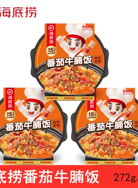 海底捞自热米饭番茄牛腩饭272g方便米饭免煮速食学生早餐夜宵快餐