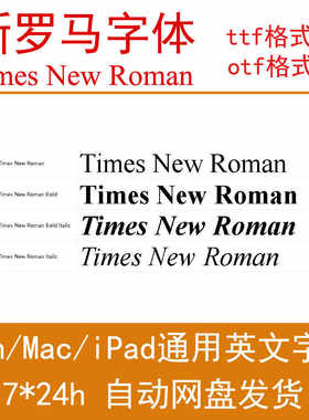 4字重衬线体Times New Roman新罗马字体包公式WPS/WORD/Procreate
