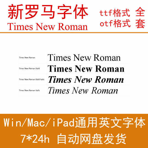 4字重衬线体Times New Roman新罗马字体包公式WPS/WORD/Procreate
