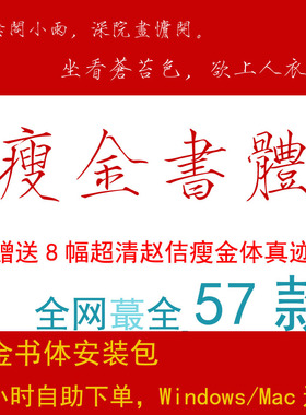 瘦金书体PS字体库包WPS繁简AI下载PR书法iPad瘦金体CDR procreate