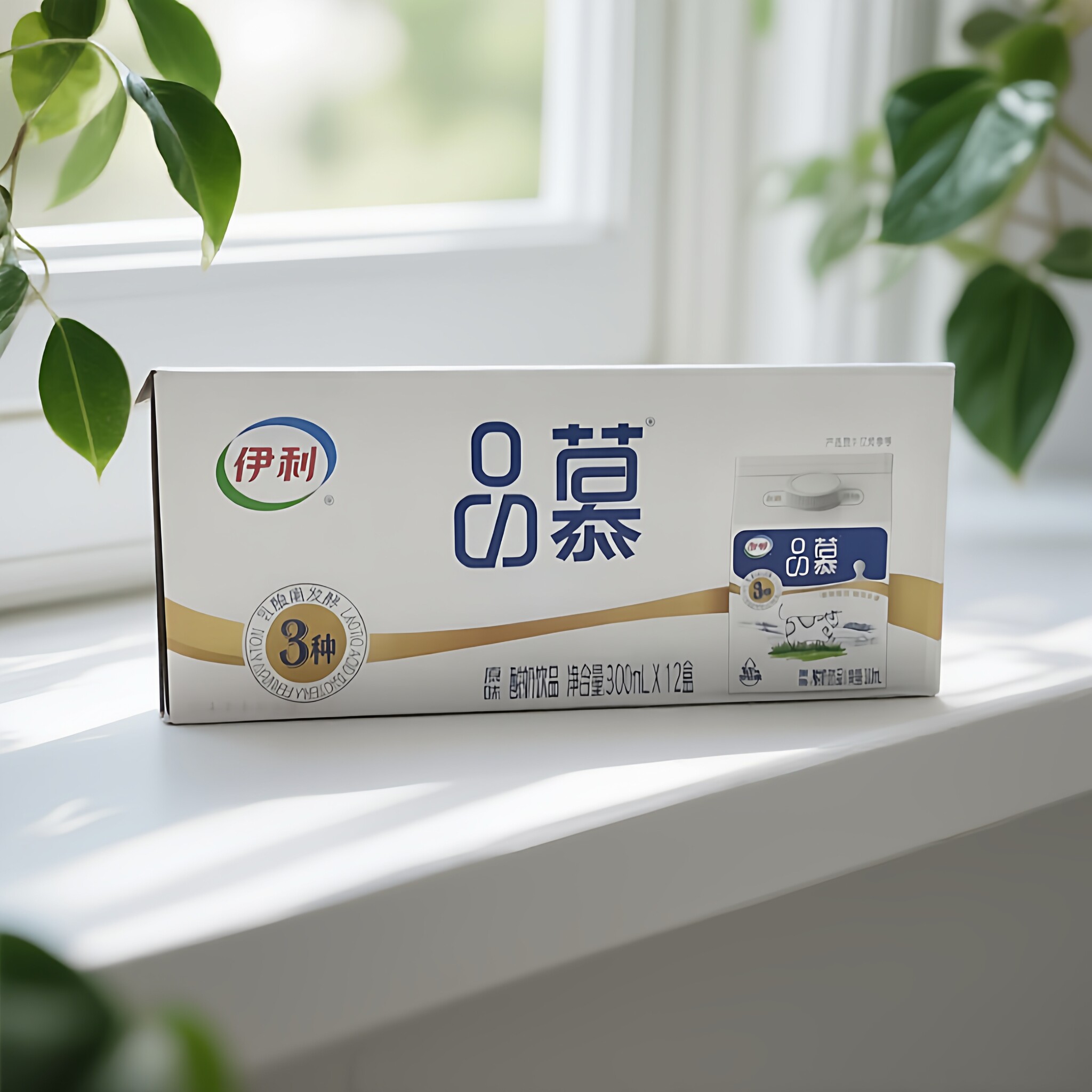 伊利品慕酸奶300mL×12整箱早餐