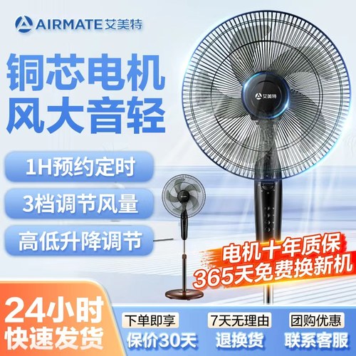 艾美特定时节能大风力落地扇