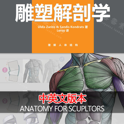 素材资料Anatomy for Sculptors艺用人体解剖结构参考图片