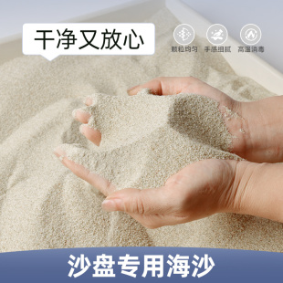 沙子安全造景用沙 心理沙盘专用沙天然细海沙游戏模型宝宝儿童玩