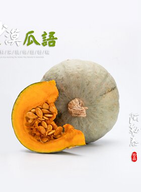 新疆板栗南瓜爆粉银栗金丝南瓜