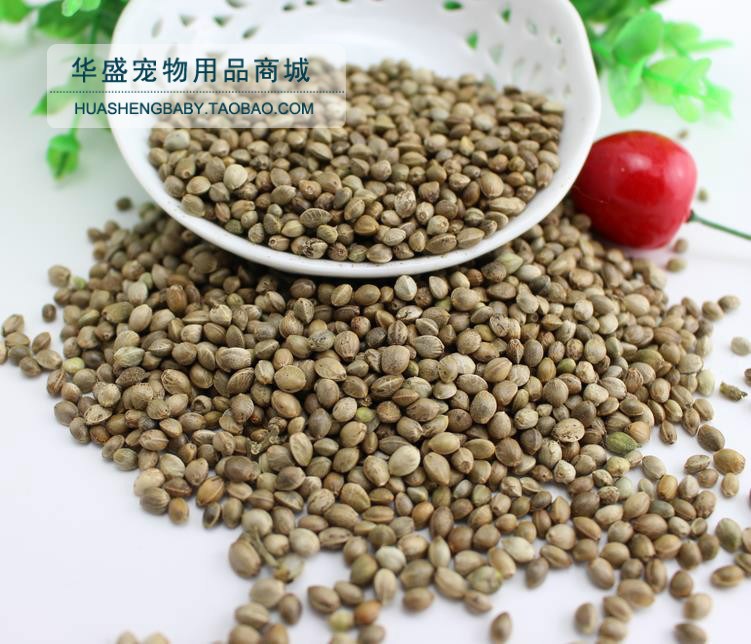 倉鼠糧食倉鼠最愛 純天然麻子80g 麻籽倉鼠糧 鼠鼠零食 倉鼠飼料