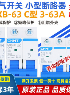 正泰空气开关NXB家用63小型断路器1P2P3P4PC型电闸保护器空开DZ47