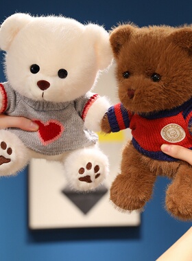 泰迪熊毛绒玩具穿衣抱抱小熊公仔布娃娃玩偶情人节送女生生日礼物