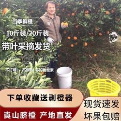 湖南新宁当季纽荷尔脐橙崀山脐橙新鲜水果甜橙孕妇水果