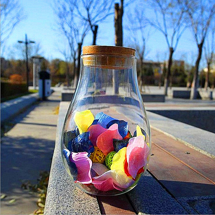 生态瓶青苔藓微景观玻璃缸盆景摆件造景盆栽办公室桌面创意绿植物