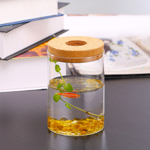 带孔花瓶茗辉阁直筒瓶高硼硅