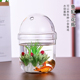 透明花盆鱼缸带盖高硼硅耐热玻璃微景观造景多肉植物摆台花瓶 包邮