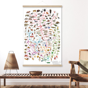 生命之树装饰画物种起源达尔文进化论海报动植物教育英文科普挂画