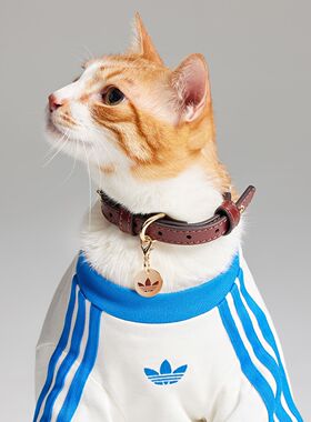Adidas阿迪达斯宠物狗狗猫咪经典复古可调节皮革耐用项圈KH0123