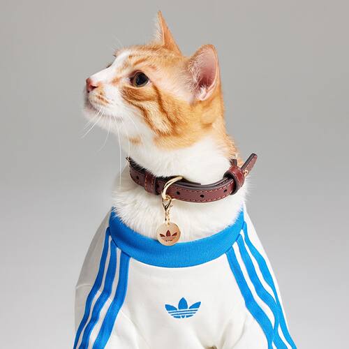 Adidas经典复古可调节皮革项圈