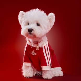 Adidas阿迪达斯人宠同款新年款宠物T恤狗狗猫咪纯棉衣服KZ4786