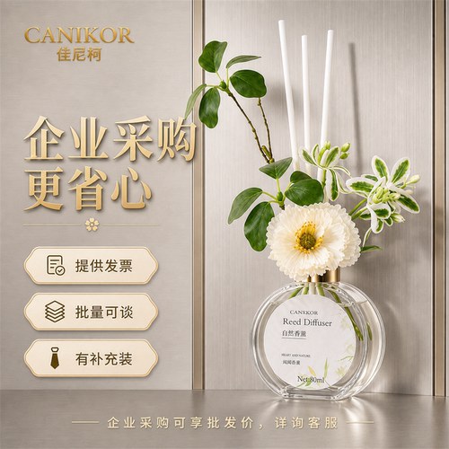 民宿酒店同款香薰壁挂式电梯专用