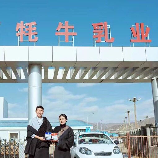 阿坝红原牦牛奶粉高原特产0添加全脂高钙6罐装全家营养奶粉