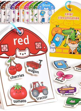 Color Sorting Toys Preschool Learning Matching Games分类玩具