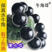 旗舰店无裂 佛珠文玩女士正品 牛角哥 老料天然黑水牛角手串男士