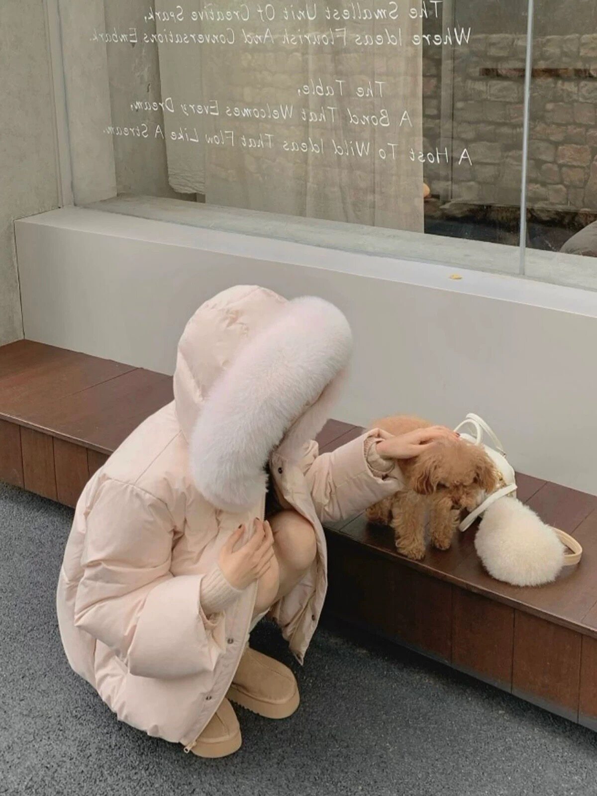狐狸大毛领连帽短款棉服女冬新款韩系小个子加厚保暖棉衣外套女