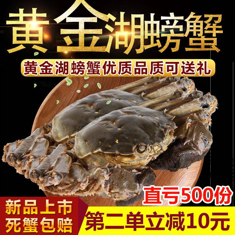 特大螃蟹湖北黄石大冶黄金湖大闸蟹顺丰空运包邮死蟹包赔 3两全母