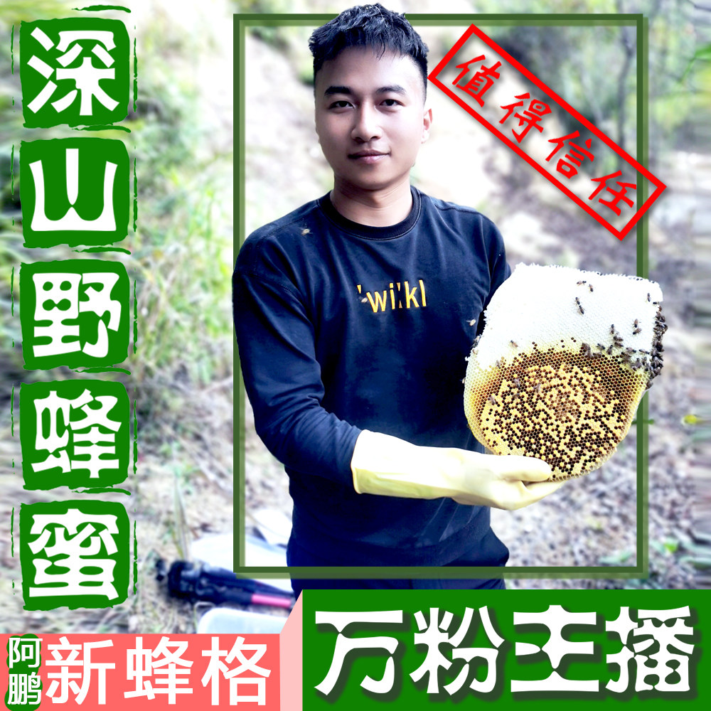 阿鹏新蜂格户外主播掏天然野生树洞纯正百花蜂蜜土蜂蜜中华蜂巢蜜