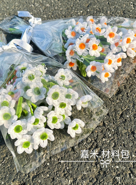扭扭棒花束手工diy材料包自制洋甘菊蓝星花手捧成品花送女友闺蜜
