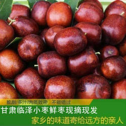 甘肃临泽小枣新鲜红枣脆甜7斤鲜枣当季水果青枣5斤临泽小枣鲜枣