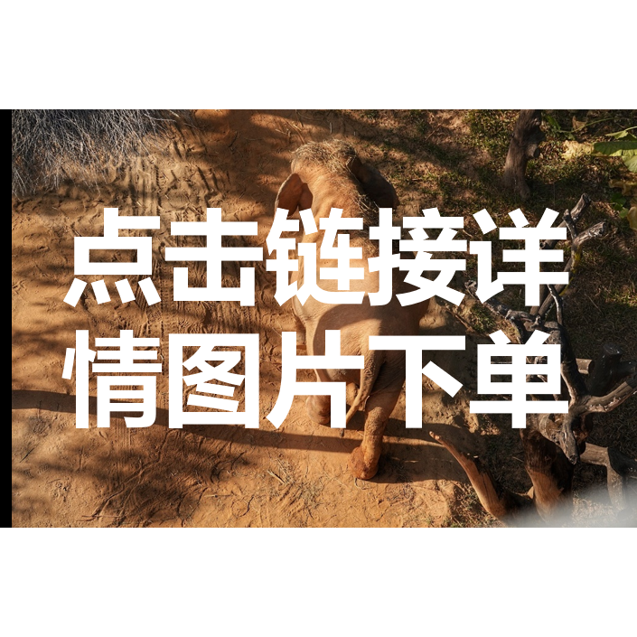 佳莹家目录链接