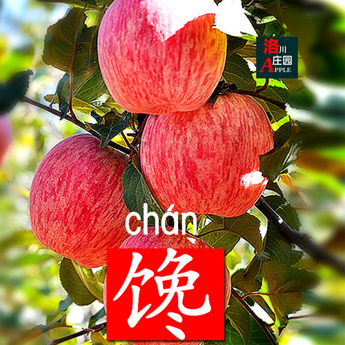 甜蜜暴击-洛川苹果-挑逗黄金果径
